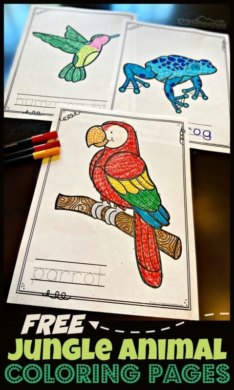 printable coloring jungle animals