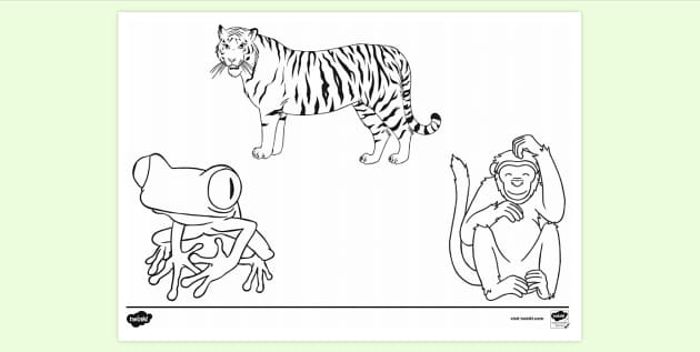 printable coloring jungle animals