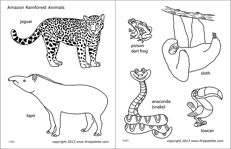 printable coloring jungle animals