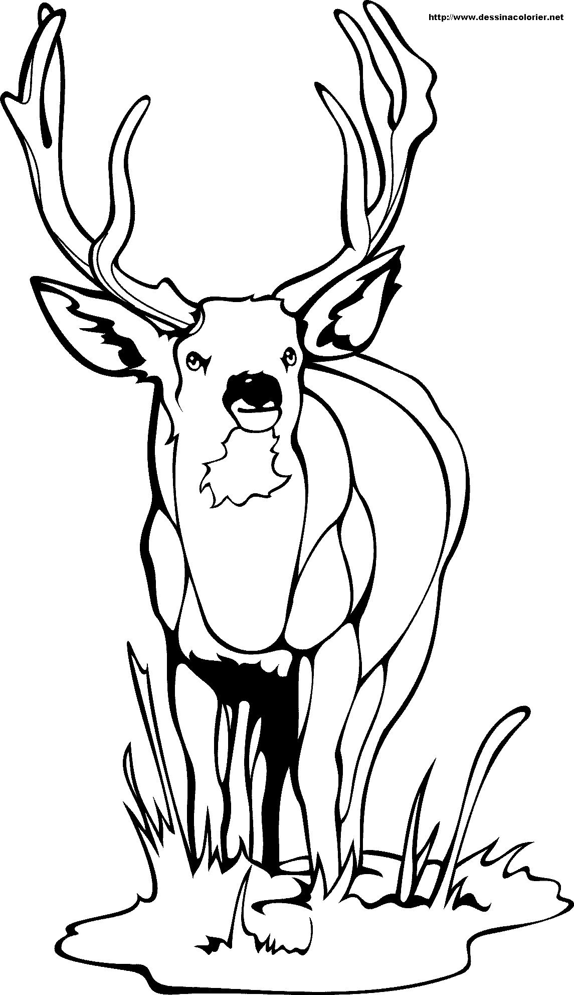 Deer #2610 (Animals) - Free Printable Coloring Pages