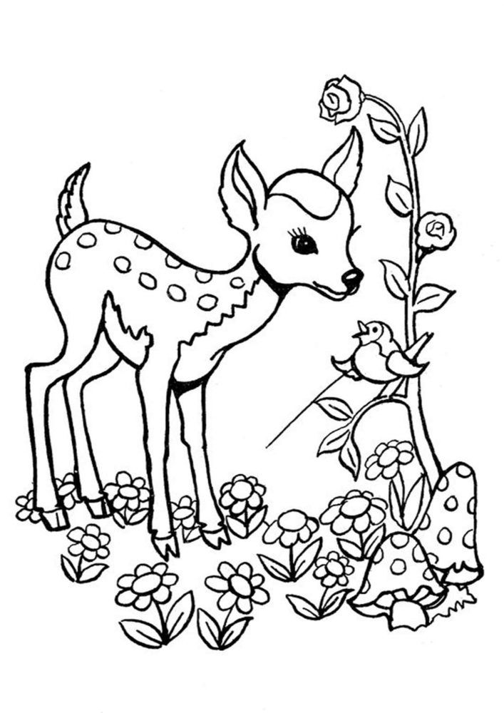 printable coloring pages deer