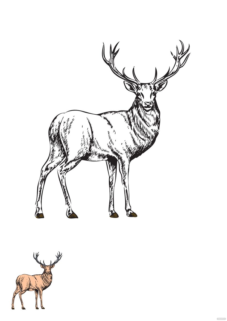 Vintage Deer Coloring Page in PDF - Download | Template.net