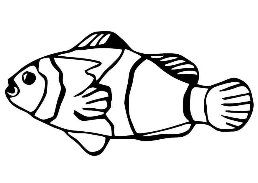 Coloring Page fish - goldfish - free printable coloring pages ...