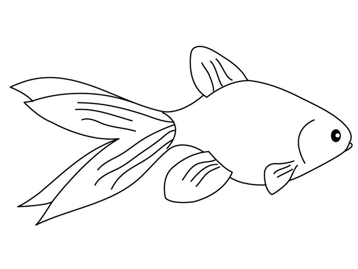 Free Printable Goldfish Coloring Pages For Kids
