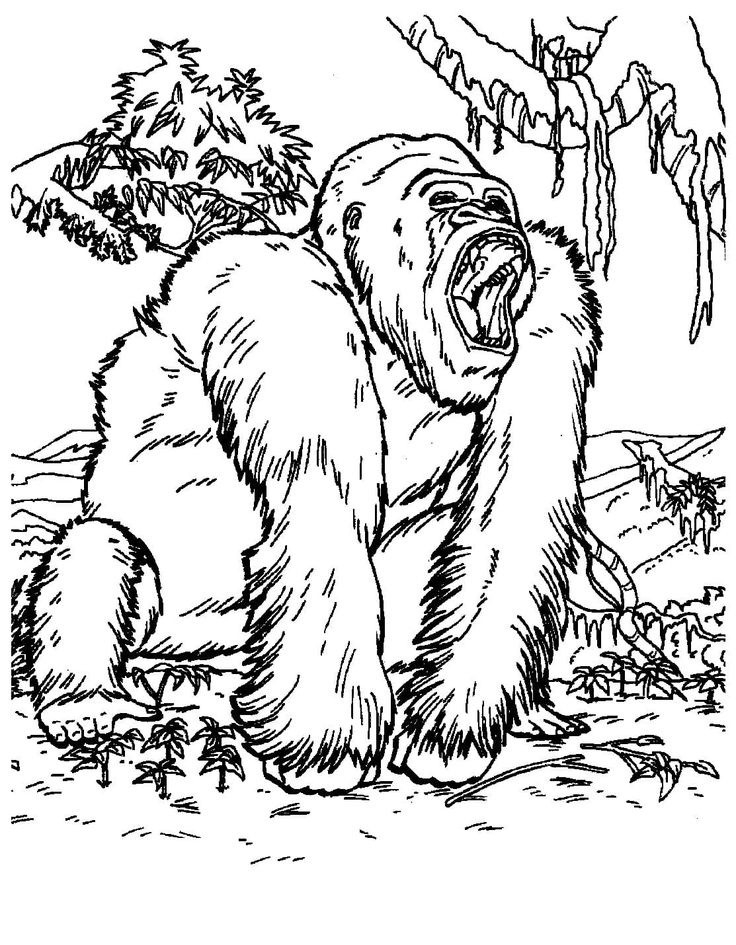 printable coloring pages gorilla