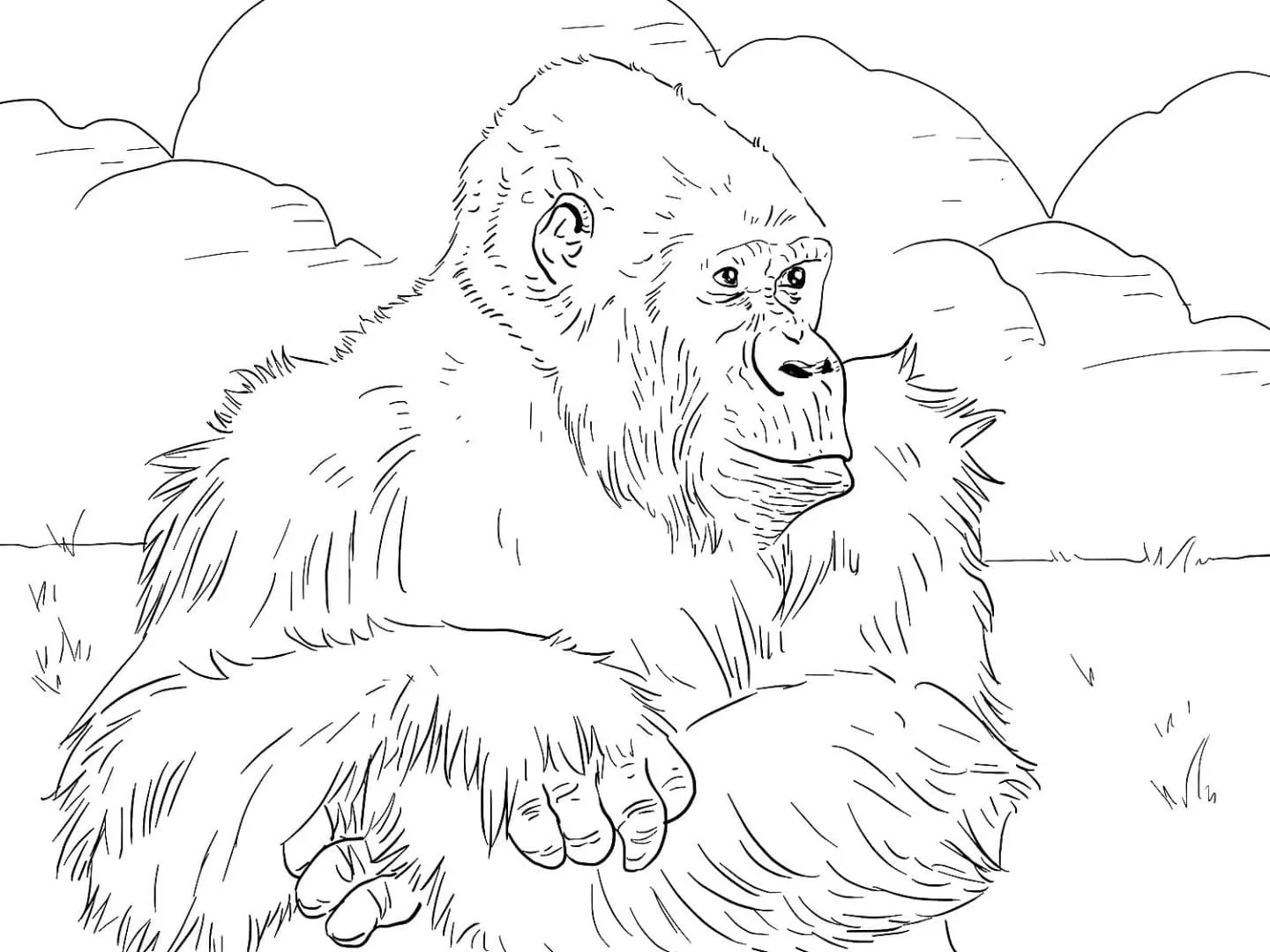 65 Gorilla Coloring Pages: Unleash Creativity in the Jungle!