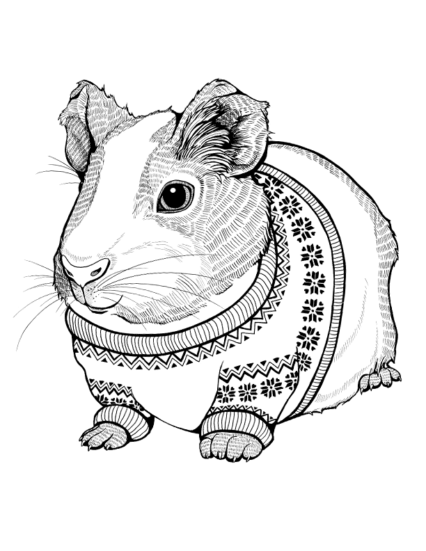 printable coloring pages guinea pigs