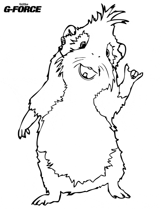 printable coloring pages guinea pigs