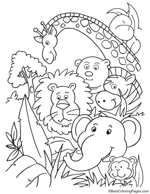 printable coloring pages jungle