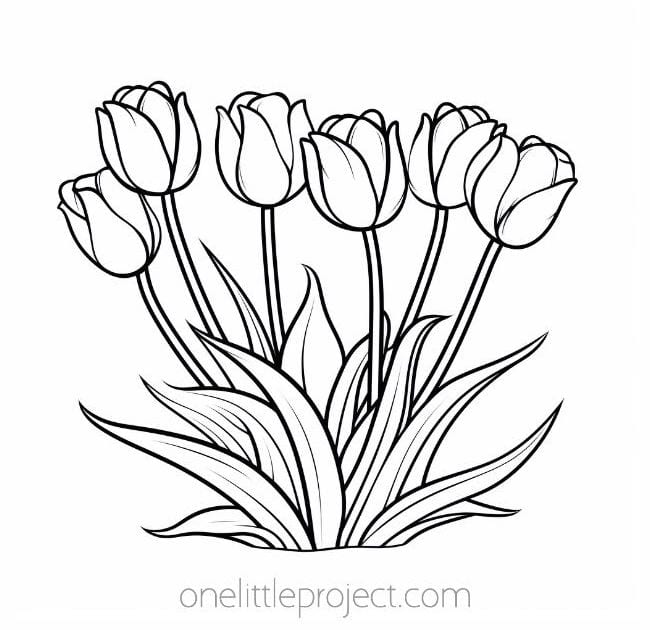 printable coloring pages of flowers