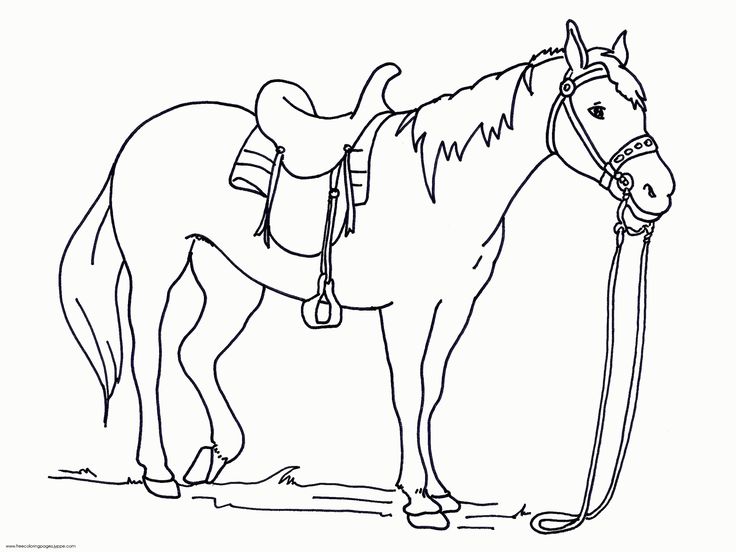 printable coloring pages of horse