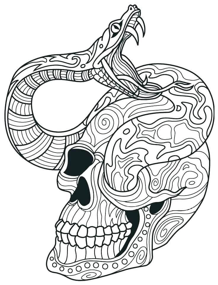 Intricate Sugar Skull Coloring Pages For Adults - ScribbleFun