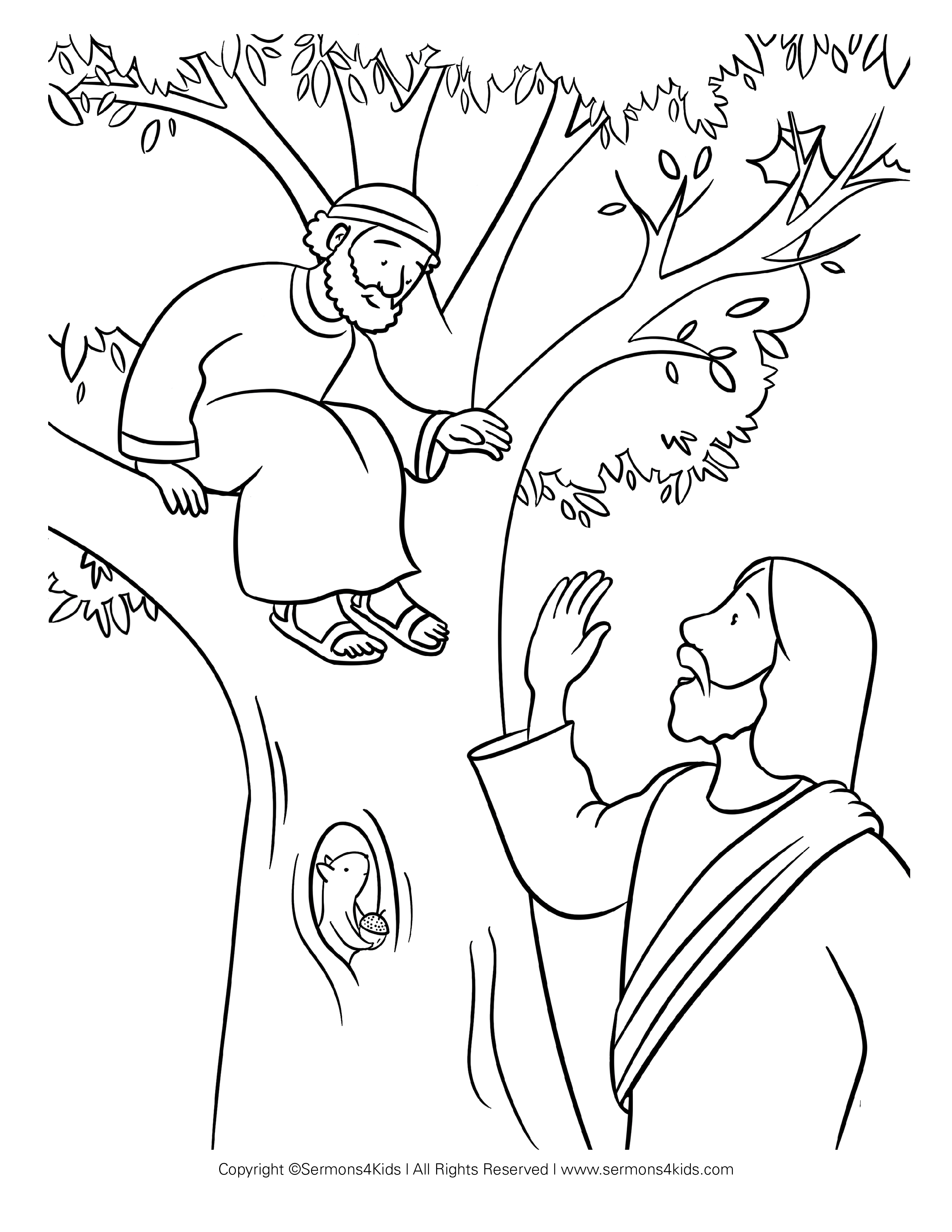 printable coloring pages zacchaeus