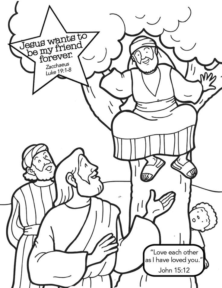 Free Coloring Pages Of Story Zacchaeus Sketch Coloring Page