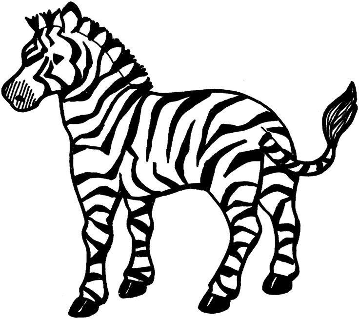 Free Printable Zebra Coloring Pages For Kids | Zebra coloring ...