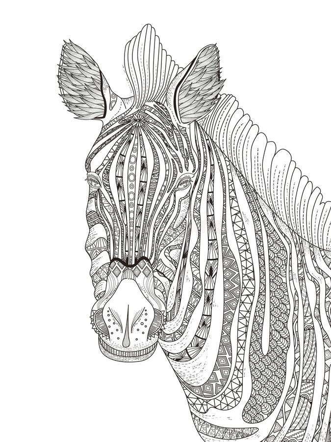 Adult Coloring Zebra Stock Illustrations - 105 Adult Coloring ...