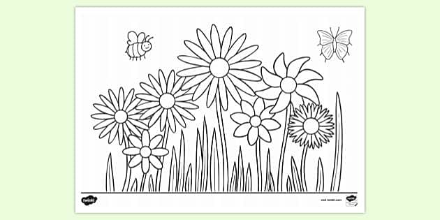 NEW * Free Printable Flower Colouring Page | Colouring Sheets