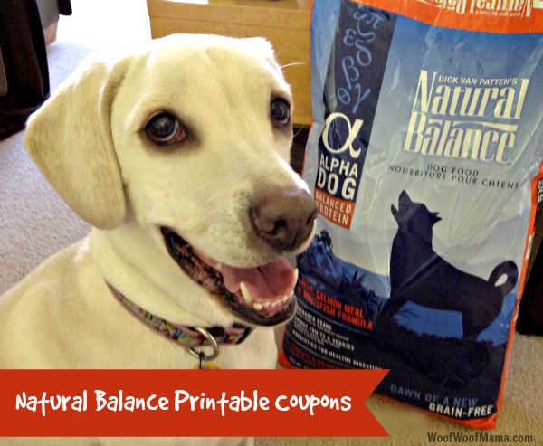 printable coupons dog food