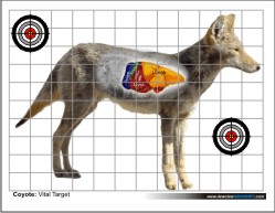 Printable Targets - Dewclaw Archery
