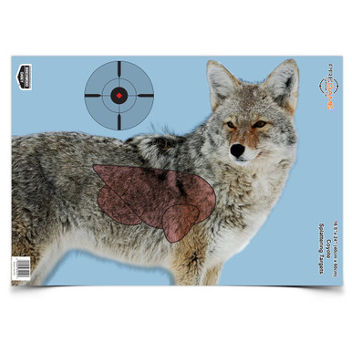 PREGAME® 16.5 x 24 Inch Coyote, 3 Targets - Birchwood Casey