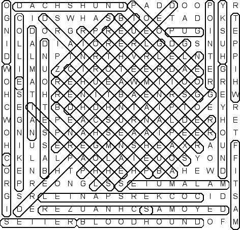 Dogs (solution) - Word Search Puzzle
