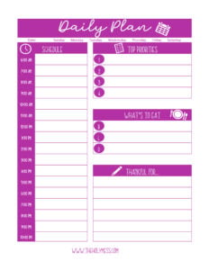 Daily Action Plan - Free Printable The Holy Mess