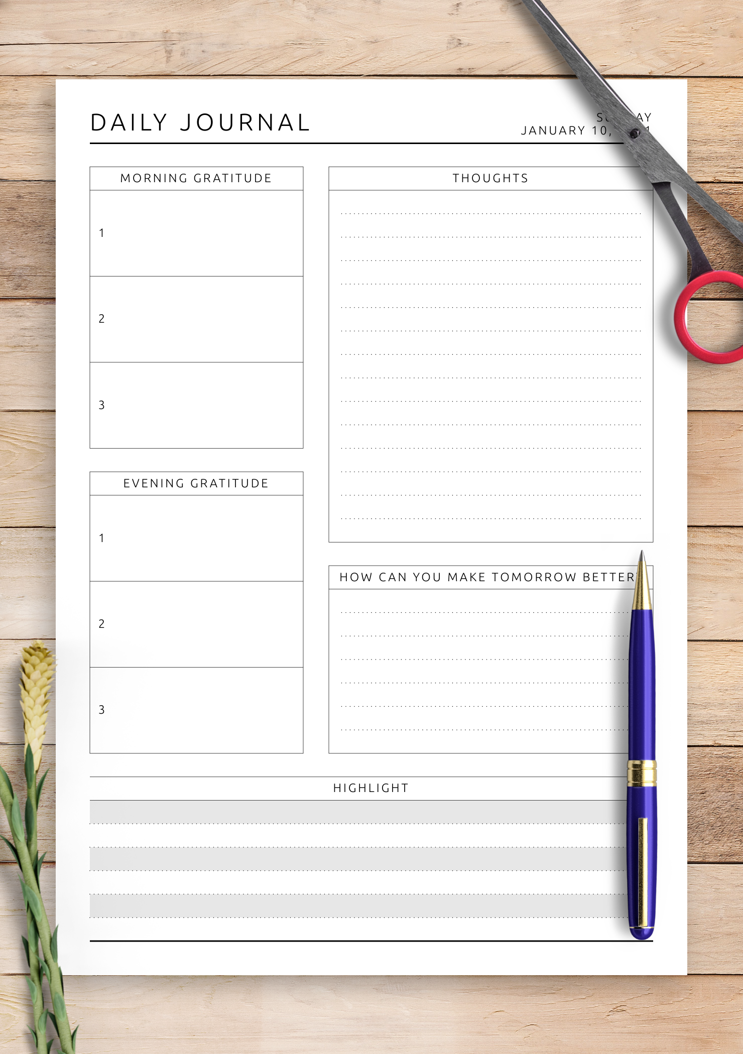 printable daily health journal