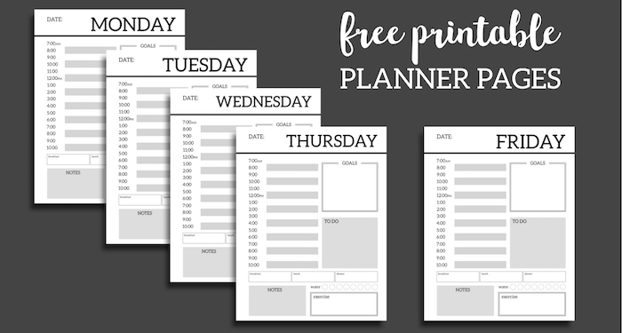 Daily Planner Printable Template Sheets - Paper Trail Design