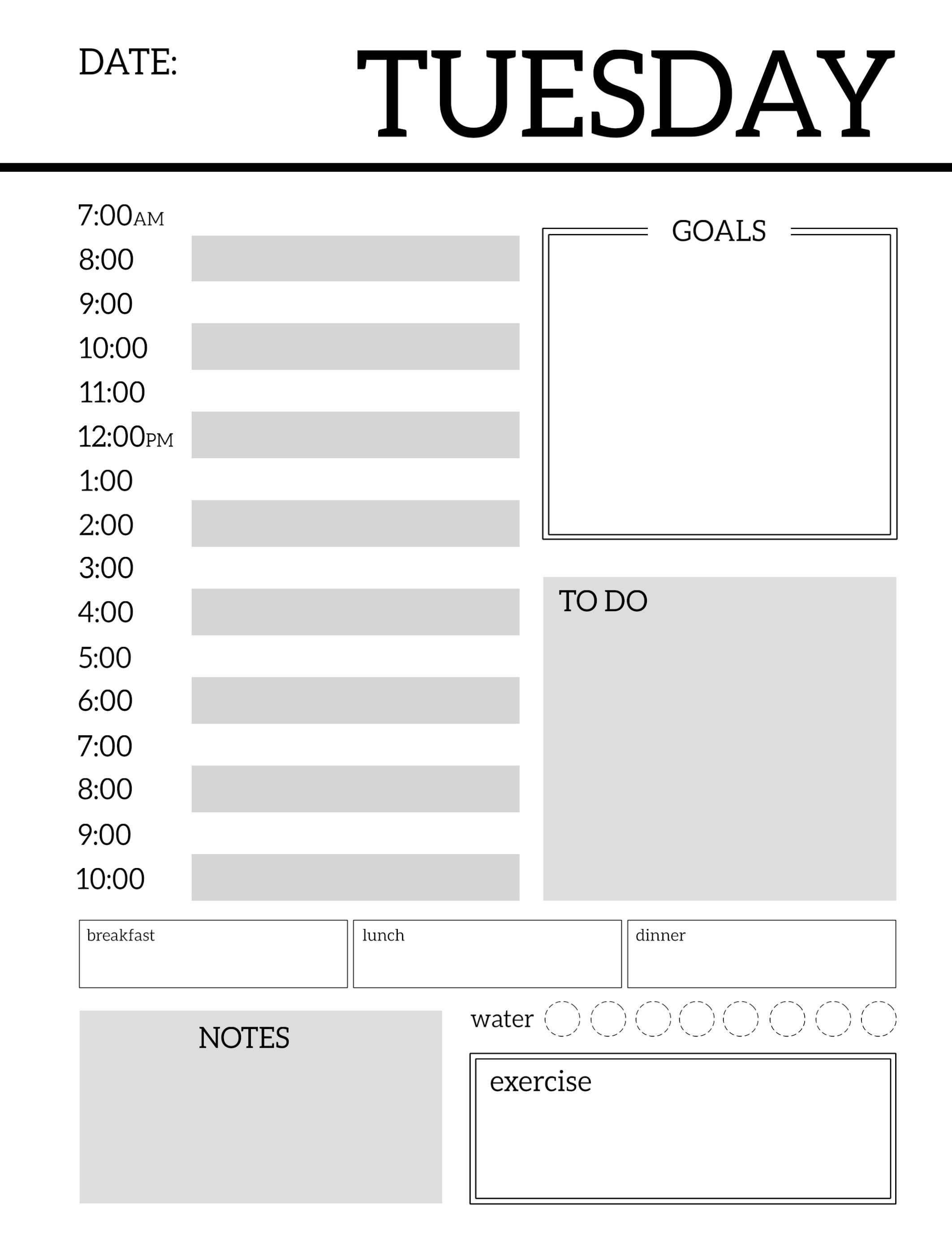 Daily Planner Printable Template Sheets - Paper Trail Design