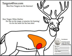 Deer Target Silhouette With Vitals by Targets 4 Free - Targets4Free