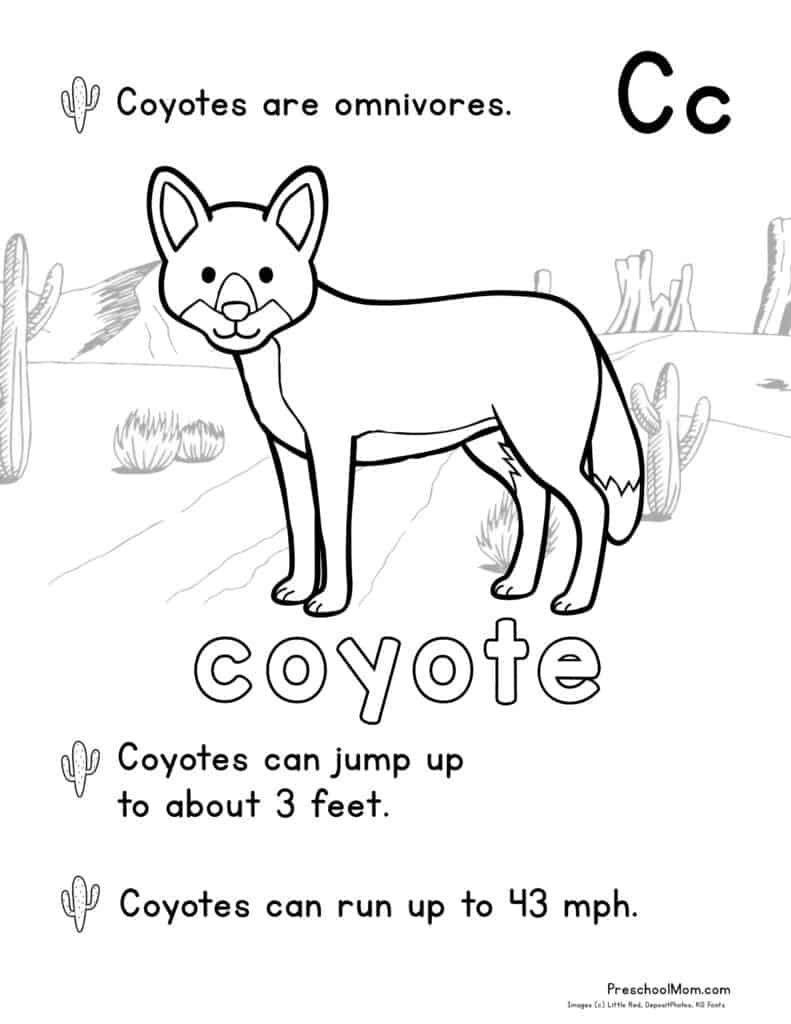 Free Printable Code Worksheets For Kids Fun Coding Activities Free Printable Code Worksheets For Kids Fun Coding Activities