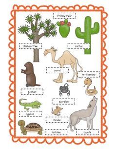 printable desert animal pictures