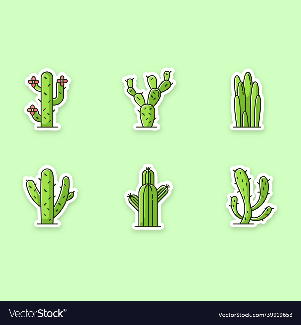 Cactuses printable patches american desert plants Vector Image