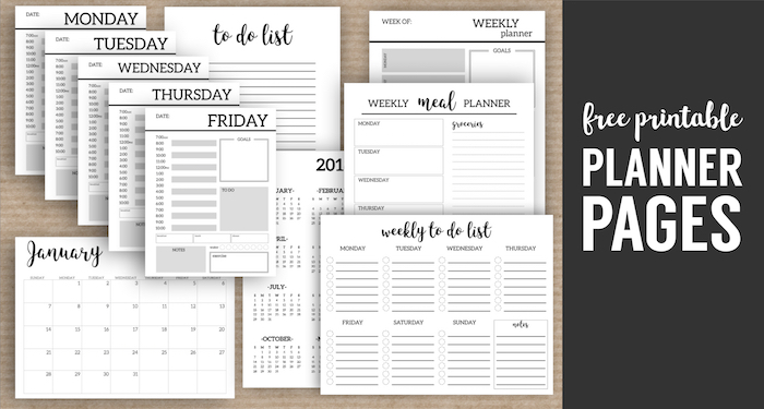 Monthly Planner Template {Printable Planner Pages} - Paper Trail ...