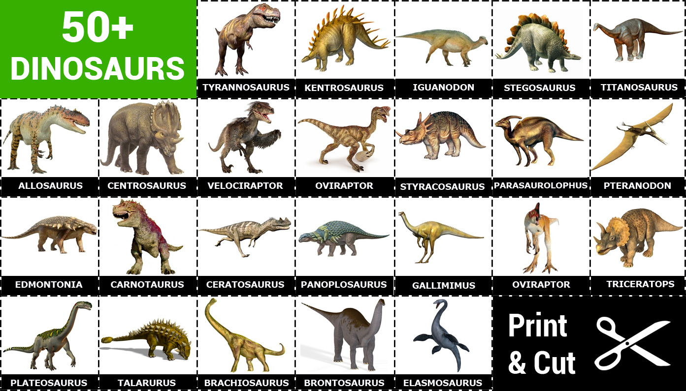 Printable Matching game Dinosaurs + 50 cards | Memozor