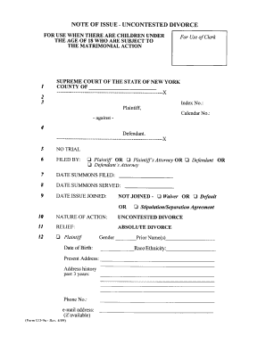 Divorce Papers Ny PDF 2009-2024 Form - Fill Out and Sign Printable ...