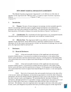 New Jersey Divorce (Marital) Settlement Agreement Form [PDF]