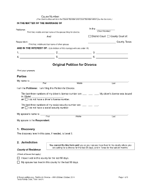 Free Printable Divorce Papers Form (GENERIC)