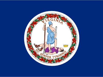 printable divorce papers virginia