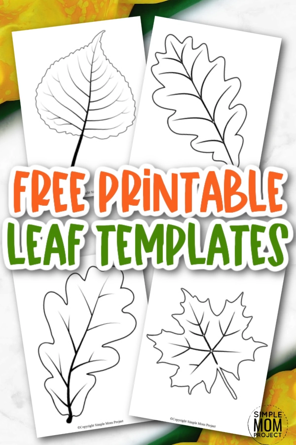 Free Printable Large Leaf Templates, Stencils and Patterns ...