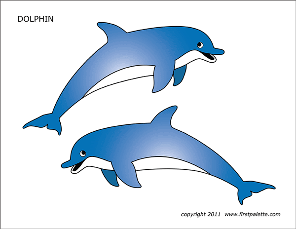Dolphin | Free Printable Templates &  Coloring Pages | FirstPalette.com
