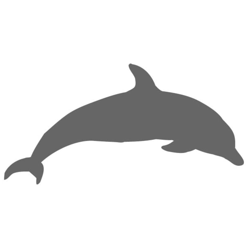 Bottlenose Dolphin Stencil | Craftcuts.com