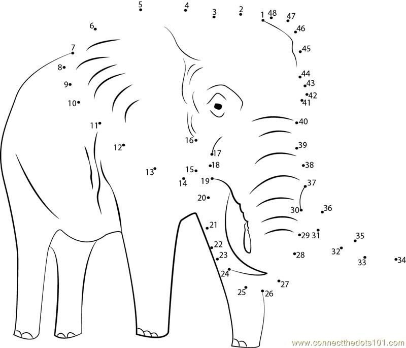 Elephant dot to dot printable worksheet - Connect The Dots