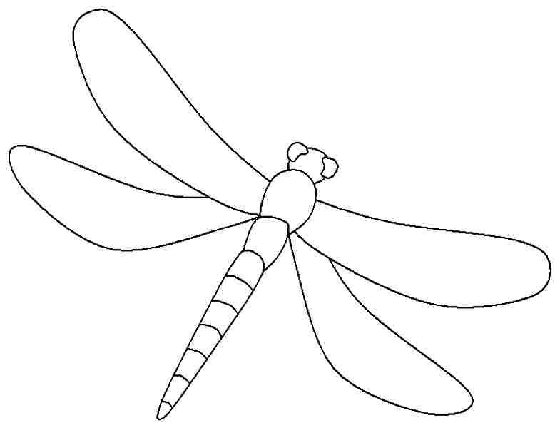 printable dragonfly pictures