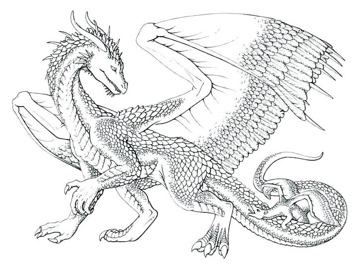 printable drawings of dragons