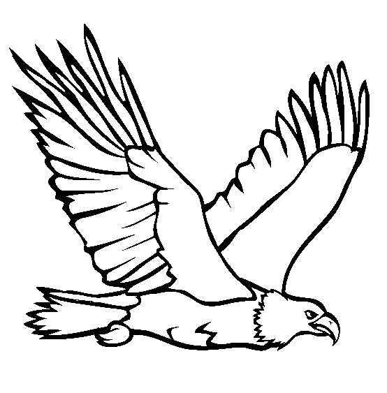 printable drawings of eagles