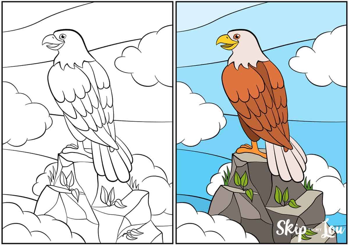 Eagle Printable Coloring Pages