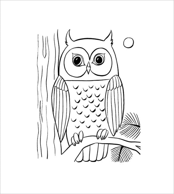 printable drawings of owls