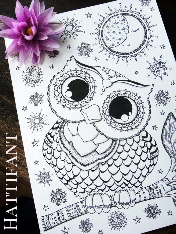 printable drawings of owls