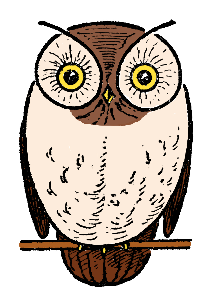 printable drawings of owls